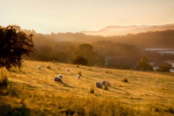 LDS0033 - Sunrise above Menai Bridge