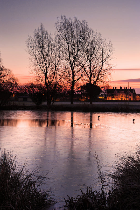 LDS0043 - Abergele Sunrise, Purple