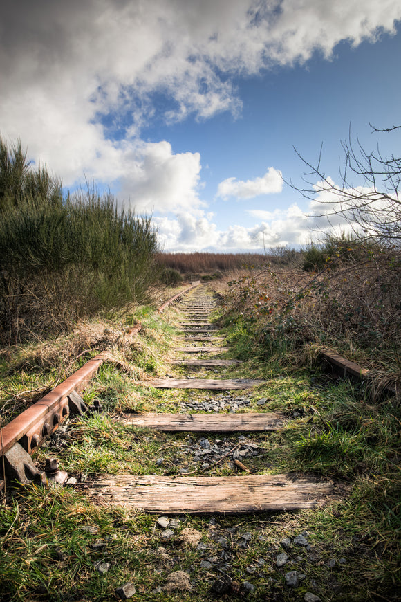 LDS0064 - Abandoned Railway Track, Cefni Reservoir