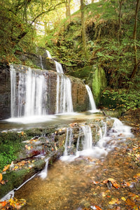 LDS0098 - A Waterfall of Autumn Colour