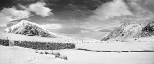 A Winter Wonderland - B&W Panorama