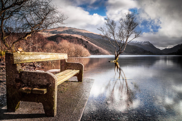Contemplation, Llyn Padarn - Snowdonia, North Wales. The lone tree stands in the distance & the wooden bench has been surrounded with flood water. A surreal looking landscape. Smart Imaging & Framing Landscape Photography