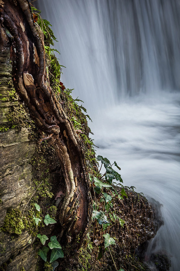 LDS0192 - Llanrwst Waterfall