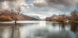 Llyn Padarn & The Lone Tree - 24x12" Panoramic Canvas Wrap