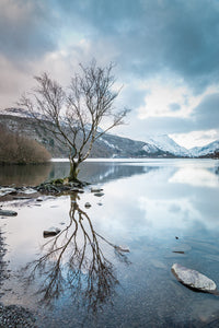 Llyn Padarn Winter Reflections