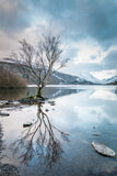 Llyn Padarn Winter Reflections